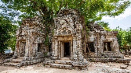 Ruined temple complex under a large tree