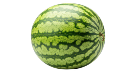Whole green striped watermelon with light grey background fruit rind