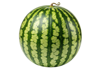 Whole round watermelon with green stripes and curly stem on background fruit