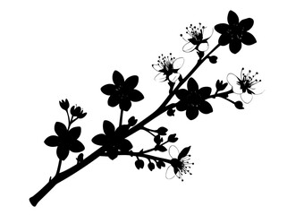 Vector illusion of black and white floral background
