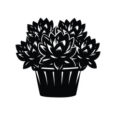 Stylized Black and White Succulent Plant Arrangement in a Flower Pot