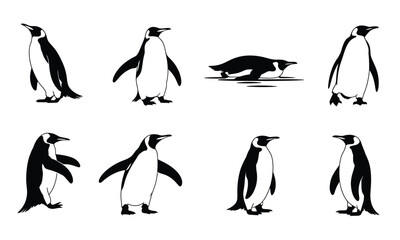 Black and white penguin illustrations animal wildlife