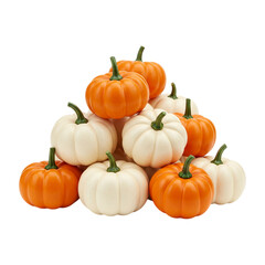 Assorted Decorative Pumpkins and Gourds &ndash; Autumn Orange White &ndash; Transparent PNG