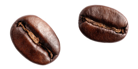 Close-up of two coffee beans