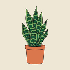 A potted Sansevieria trifasciata, commonly known as a snake plant or mother-in-law's tongue, with distinctive green striped leaves.