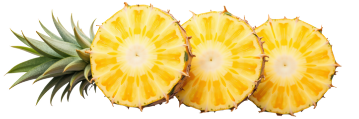 Fresh pineapple slices display vibrant yellow color and juicy texture, perfect for tropical dishes or refreshing drinks