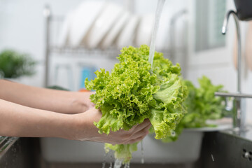 people washing raw vegetables at sink in the kitchen prepare ingredient for cooking