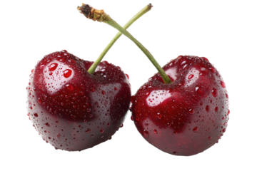 Two ripe, dark red cherries with water droplets, crossed stems