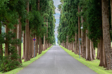 The Hakodate Trappist Hokkaido Japan 函館　トラピスト修道院 函館　北海道