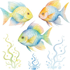 Watercolor illustration of three colorful fishes with seaweed on white