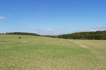 A scenic shot of a cultivated field under a bright blue sky, surrounded by green trees.