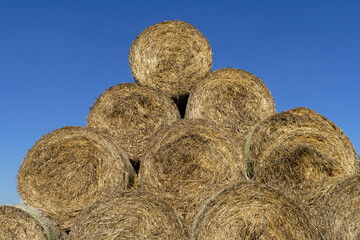Round hay bales stacked in a pyramid against a bright blue sky, capturing the harvest season