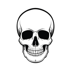 Black and white human skull illustration skeletal