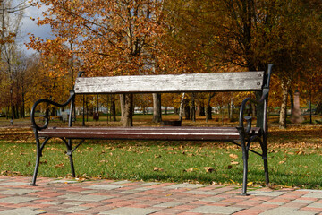 A wooden park bench offers a moment of peace amid the autumn leaves.