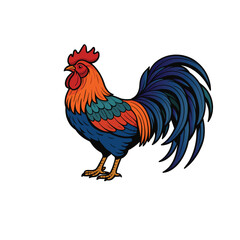 rooster illustration design