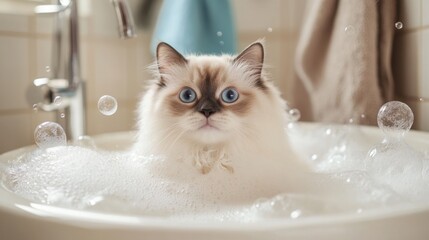Cat enjoying a bubble bath in a bathroom sink with whimsical atmosphere