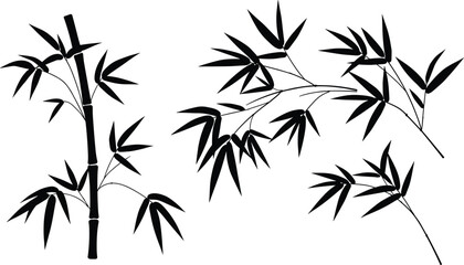 Bamboo plant silhouette, black bamboo branches, tropical foliage art, Asian nature design, minimalist bamboo leaves, botanical illustration, zen garden decoration, oriental style