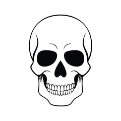 Human skull with black eye sockets and teeth skeleton anatomy