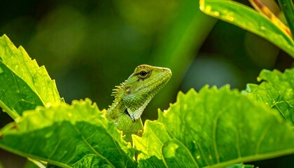 Green Lizard Peeking Through Lush Green Leaves in Natural Habitat