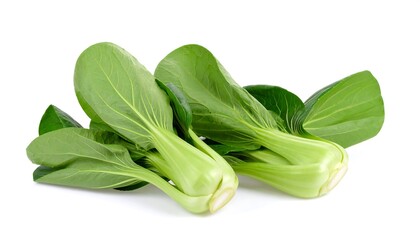 Organic Pak Choi Vegetable Chinese Cabbage for Healthy Cooking
