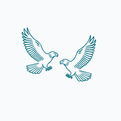 Obraz premium Two teal eagles in flight facing each other bird birds
