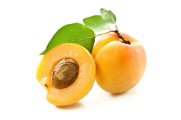 Apricots isolated on white background