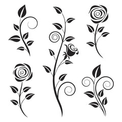 Black Rose Floral Swirl Designs, Abstract Decorative Tattoo or Graphic Art Elements on White Background