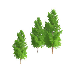 green tree isolated on white