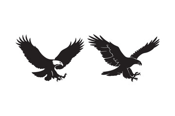 Two majestic eagles in flight with talons extended