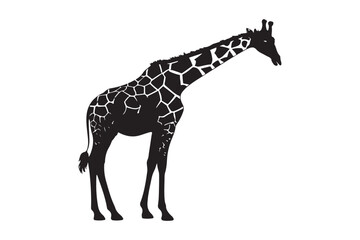 Silhouette of a giraffe with distinctive pattern