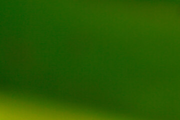 green-based gradient background, transitioning from a darker green to a slightly lighter, more vibrant shade. 