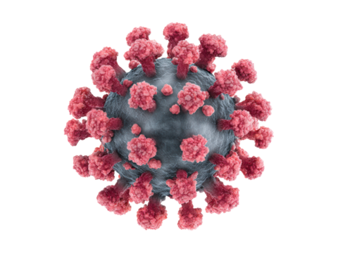Microscopic spherical virus with pink spikes and gray body image, Isolated, Png Transparent Background