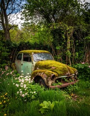 Old car overgrown with moss in a garden