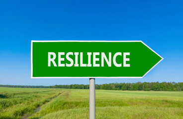 Resilience symbol. Concept word Resilience on beautiful green road sign. Beautiful blue sky green grass and forest peaceful nature background. Business resilience concept. Copy space.
