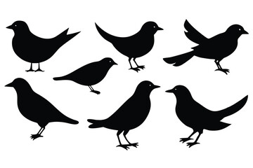 Obraz premium Silhouettes of Seven Birds, Some Standing and Flying, Black Graphics on White Backdrop