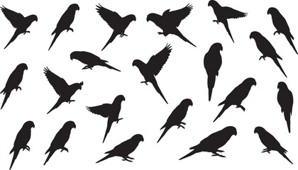 Fototapeta premium A comprehensive set of parrot silhouettes in various poses, including flying, standing, and perched, for animal and nature designs