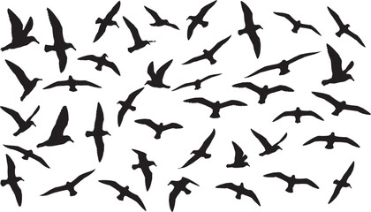 Naklejka premium A collection of flying seabird silhouettes, including gulls, flying in various dynamic poses, creating a seamless vector graphic for design projects