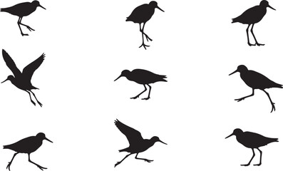 A set of common sandpiper bird silhouettes in various poses, including walking, standing, and taking flight, perfect for graphic design