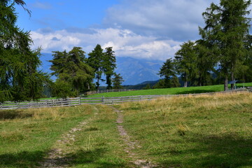 Schöne Landschaft am Jenesier Jöchl in Südtirol 