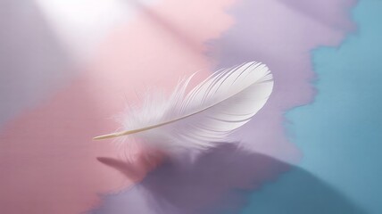 Naklejka premium Delicate white feather on pastel background soft