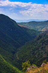 Fototapeta premium Scatti Vari