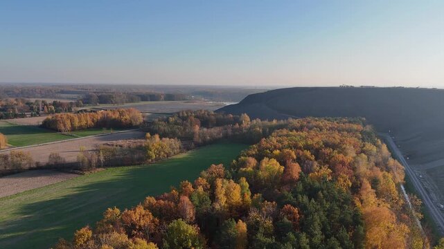 Drone Shot of an Autumn Forest and a Green Field with a Slag Heap