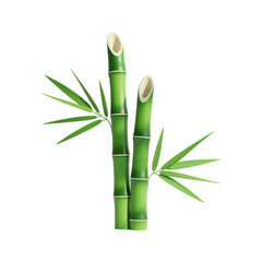 Fototapeta premium Illustration of two vibrant green bamboo shoots.