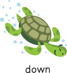 Prepositions. Turtle is moving DOWN