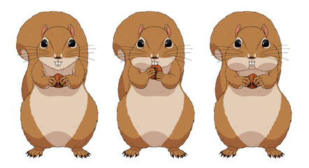 Patterns of a squirrel pushing an acorn into its mouth. An illustration of the front view of a brown squirrel hoarding acorns in chubby, fat cheeks.