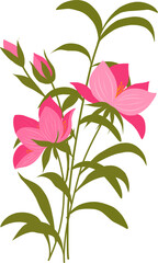 Pink Hibiscus Flowers with Green Branch Vector Illustration