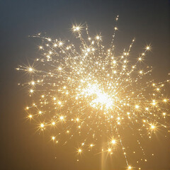 fireworks on the night sky