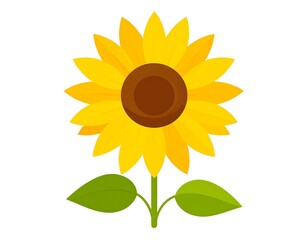Colorful sunflower illustration