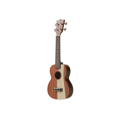 Fototapeta premium 3d rendered illustration of a ukulele isolated on transparent background