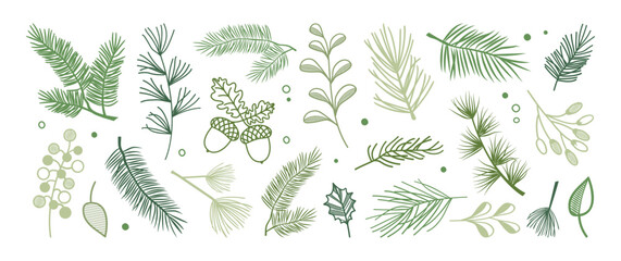 Christmas pine branch, winter tree fir, leaf. Spruce needle, holly berry. Evergreen plant hand drawn, cedar twig icon, Xmas holiday green coniferous decoration isolated on bg. Vector illustration